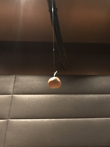 天井からオレンジがつるされている！